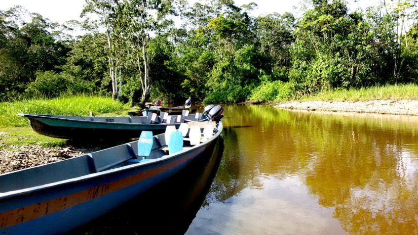 Protestantismo e ecumenismo no Sínodo para a Amazônia Protestantismo e ecumenismo no Sínodo para a Amazônia
